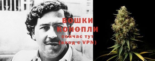 мдпв Ладушкин