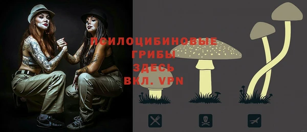 мдпв Ладушкин