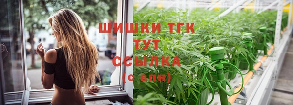 мдпв Ладушкин