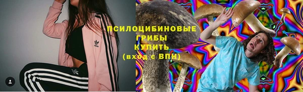 мескалин Лабытнанги