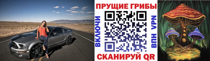 Галлюциногенные грибы Psilocybine cubensis Дзержинский