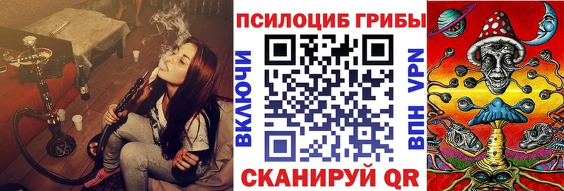 Купить закладки  Дзержинский  Псилоцибиновые грибы мицелий 